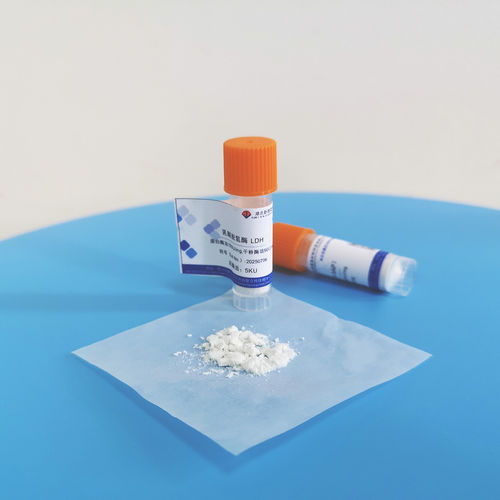 Latest company news about Como selecionar corretamente solução enzimática bruta, solução enzimática pura e pó liofilizado de acordo com as necessidades?