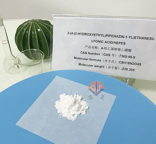 Latest company news about Tampão HEPES: o 'assistente invisível' na detecção do vírus da raiva