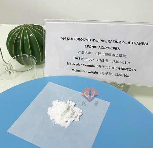 Latest company news about HEPES Buffer: A pedra angular da precisão e estabilidade em experimentos biológicos