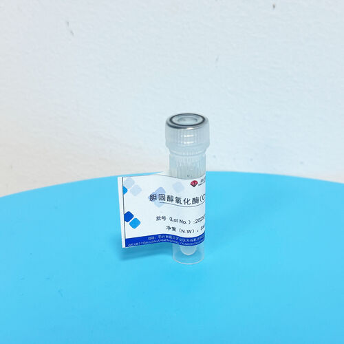 Latest company news about Segredo de conservação da preparação enzimática: Proteção científica da actividade catalítica