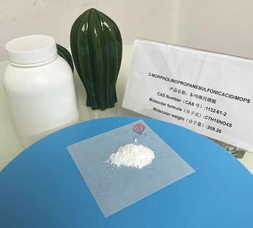 Latest company news about Buffer MOPS para cultura in vitro de astrócitos humanos